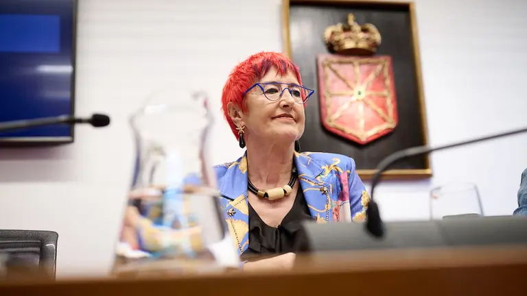 Comparecencia en el Parlamento de Navarra para que la consejera de Salud, Santos Induráin informe sobre la situación de las listas de espera y las medidas para revertir "el aumento de las mismas". PABLO LASAOSA
