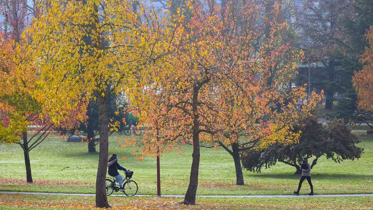 Campus de la Universidad de Navarra. UNIVERSIDAD DE NAVARRA