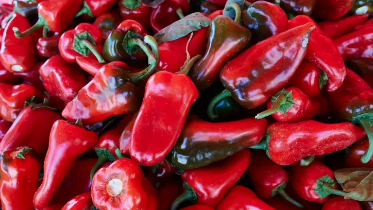 Venta de pimientos asados en Puente La Reina. IÑIGO ALZUGARAY