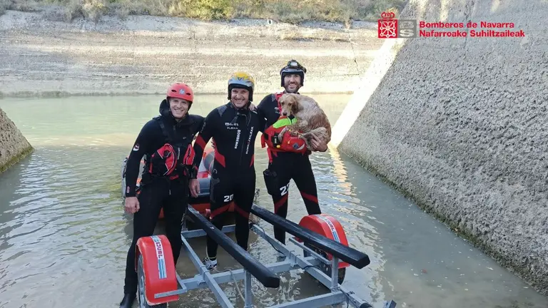Los bombero de Navarra ha rescatado a un perro que se había caído a un canal de agua en la zona de Javier. CEDIDA