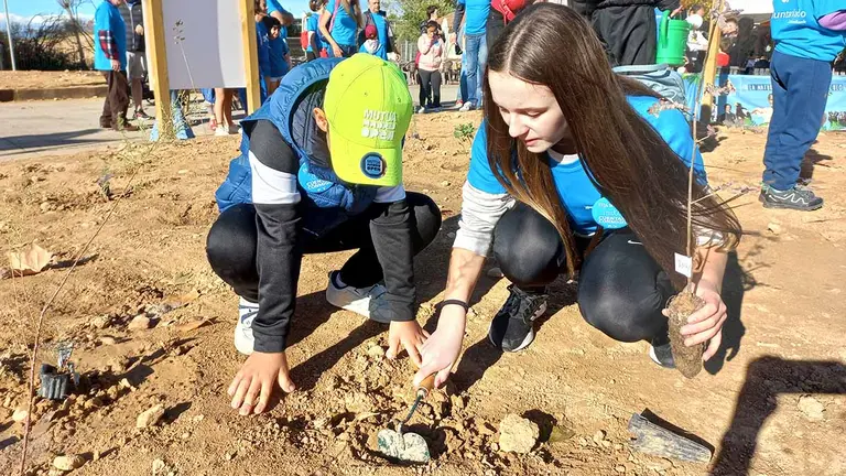 Voluntarios de CaixaBank y de Amimet replantan una zona del parque natural de Sendaviva que resultó calcinada este verano. CAIXABANK