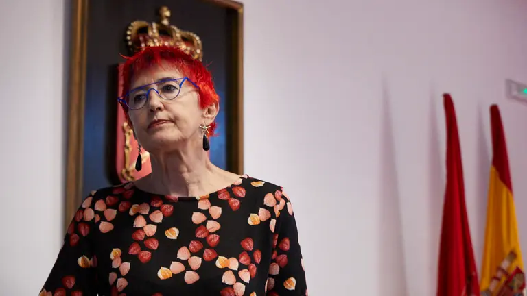 La consejera de Salud Santos Induráin, acompañada por el director gerente del Servicio Navarro de Salud, Gregorio Achutegui, comparece en comisión parlamentaria para informar sobre el acuerdo de compra de mascarillas entre SODENA, Albyn y CEN. IÑIGO ALZUGARAY