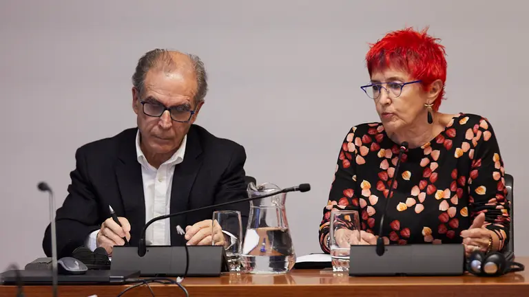 La consejera de Salud Santos Induráin, acompañada por el director gerente del Servicio Navarro de Salud, Gregorio Achutegui, comparece en comisión parlamentaria para informar sobre el acuerdo de compra de mascarillas entre SODENA, Albyn y CEN. IÑIGO ALZUGARAY