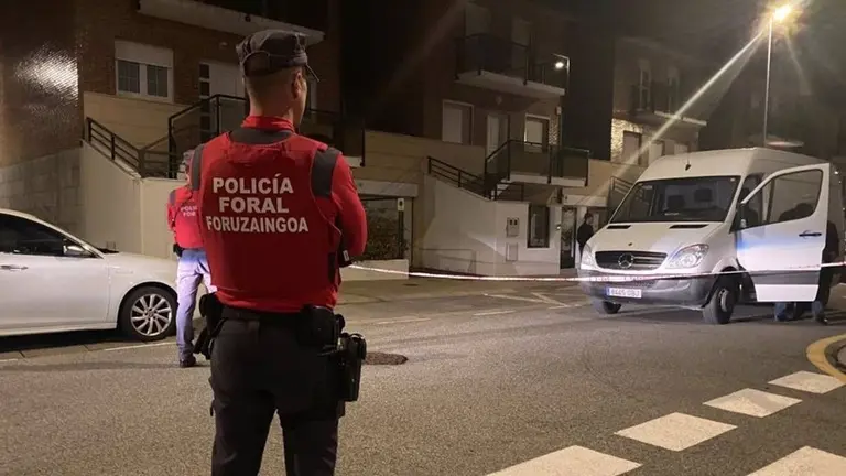 La policía Foral ha detenido a 12 personas esta semana. CEDIDA
