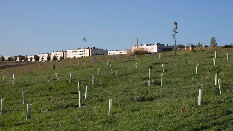 Segunda segunda jornada de plantación del bosque del polígono de Agustinos por medio de voluntariado ciudadano. AYUNTAMIENTO DE PAMPLONA