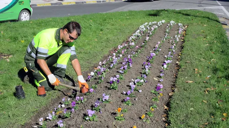 Un trabajador planta flores en Pamplona. AYUNTAMIENTO DE PAMPLONA