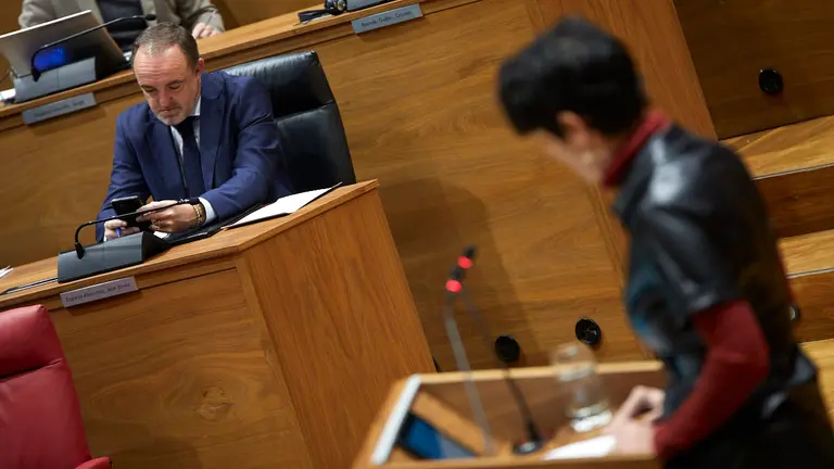Pleno del Parlamento de Navarra. IÑIGO ALZUGARAY