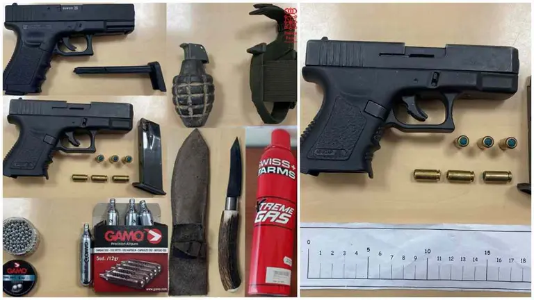 El detenido disponía de un arsenal de armas sin licencia. POLICÍA FORAL