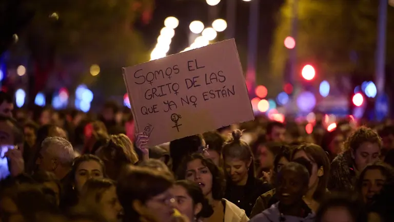 Manifestación del movimiento feminista con motivo del Día Internacional para la Eliminación de la Violencia contra las Mujeres. PABLO LASAOSA