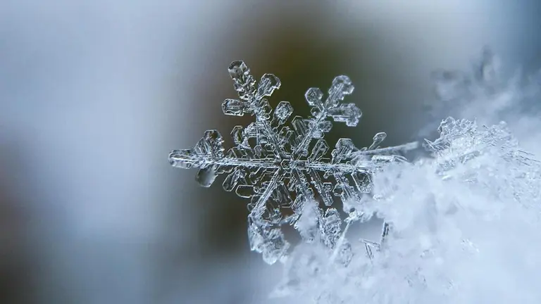 Cómo elegir un préstamo para un invierno imprevisible en el norte 