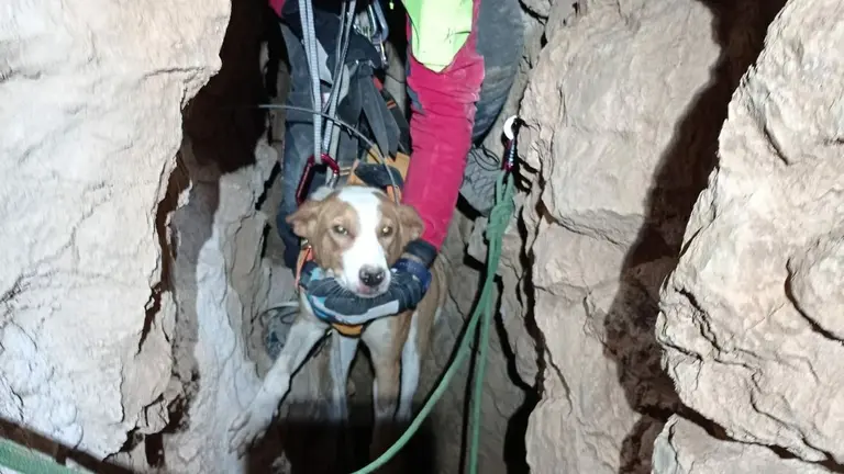 'Messi' siendo rescatado tras caer a una sima. BOMBEROS DE NAVARRA