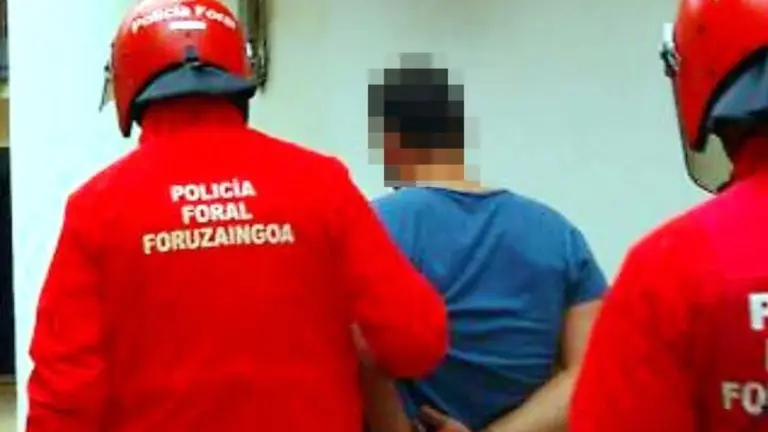 La Policía Foral procede a la detención de una persona: POLICÍA FORAL