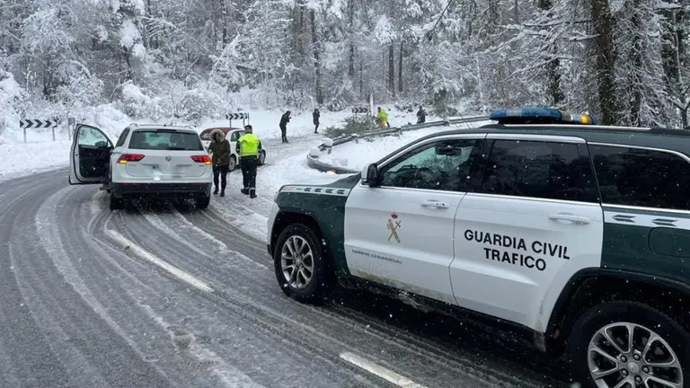 La N135 está cortada por la caída de árbol. GUARDIA CIVIL