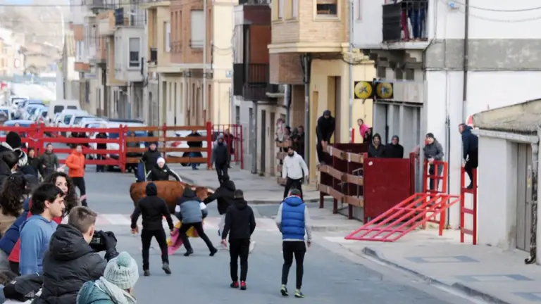 Varios mozos y recortadores evitan que el toro capón se escape en el encierro de este sábado en Caparroso. AMAYA LUQUI