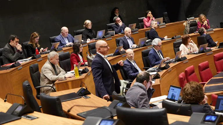 Pleno del Parlamento de Navarra. IÑIGO ALZUGARAY