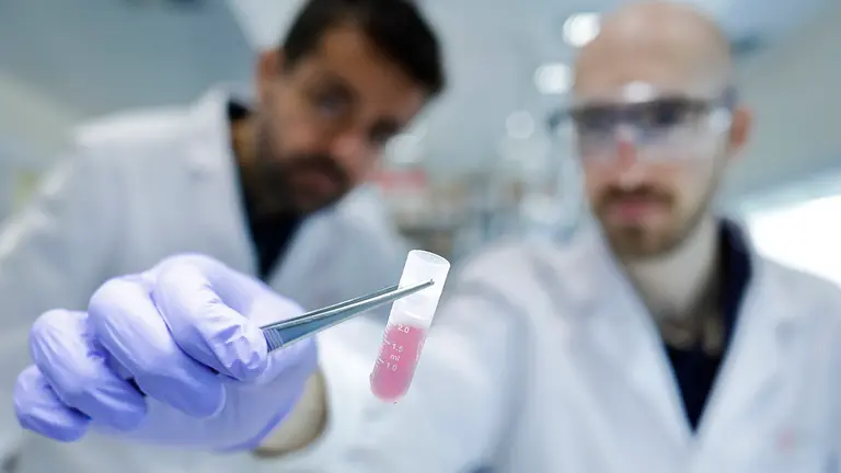 Investigadores trabajando en el laboratorio. CEDIDA