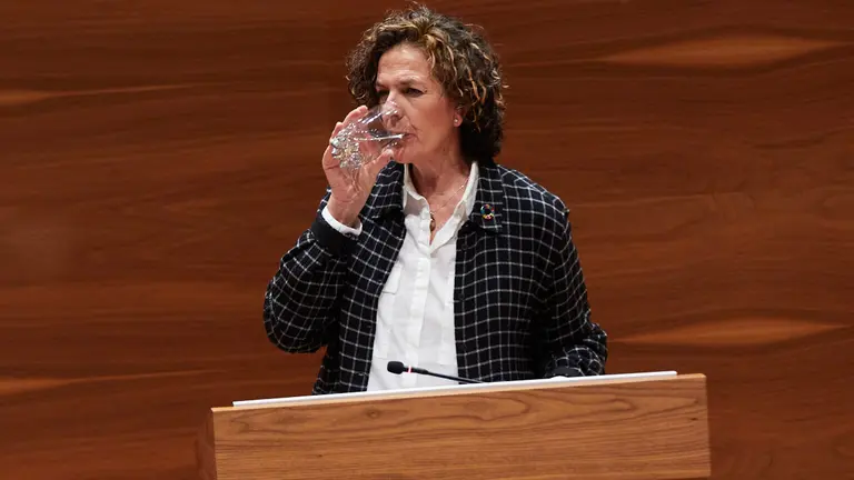 Itziar Gómez, consejera de Desarrollo Rural y Medio Ambiente, en el pleno del Parlamento de Navarra. IÑIGO ALZUGARAY