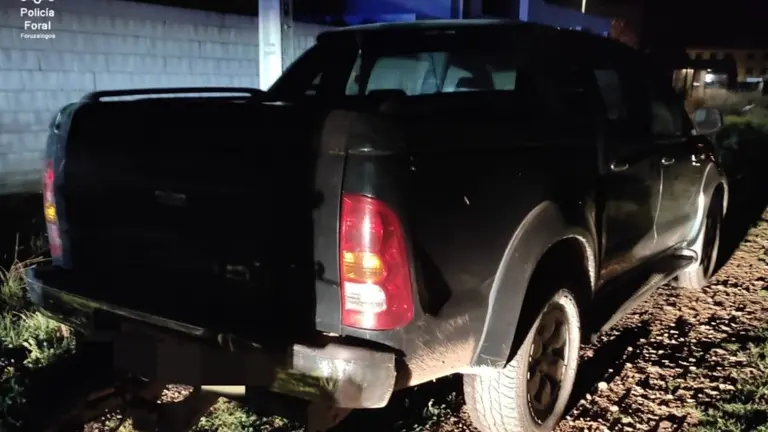 El conductor abandonó el vehículo, tras huir del control policial, con 22 perros a bordo. POLICÍA FORAL