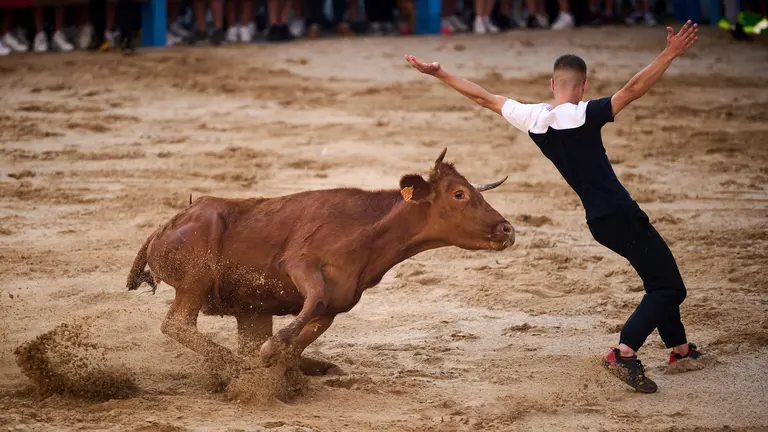 Tarde de vaquillas con la ganadería de Ganuza Echecón en las fiestas de Barañain 2023. PABLO LASAOSA