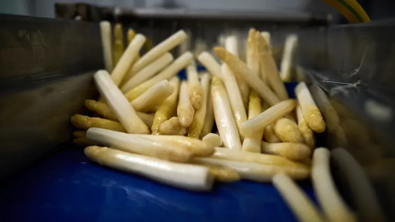 Conservera El Agricultor en Lerín. PABLO LASAOSA