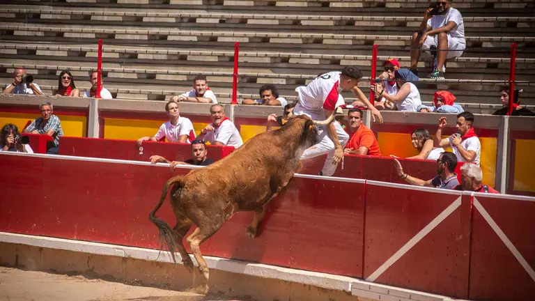 La Feria del Toro celebra el concurso de anillas durante las fiestas de San Fermín 2023 en la Plaza de Toros de Pamplona. JASMINA AHMETSPAHIC