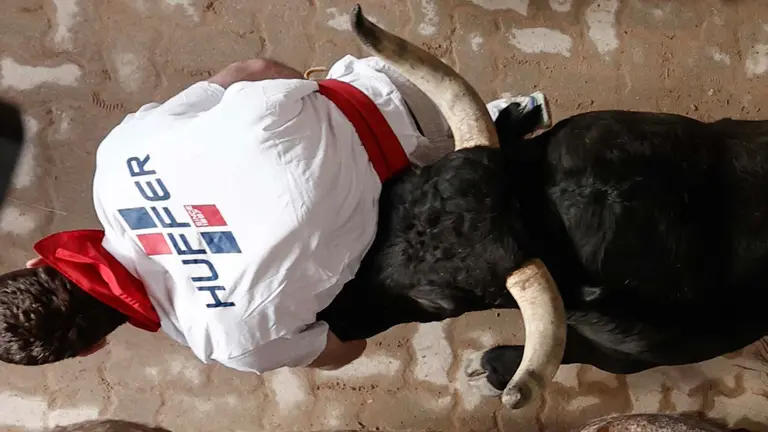 PAMPLONA, 12/07/2023.- Los veloces toros de la ganadería extremeña de Jandilla, durante el sexto encierro de los sanfermines este miércoles en Pamplona, un recorrido limpio de 2 minutos y 31 segundos de duración. EFE/Jesus Diges
