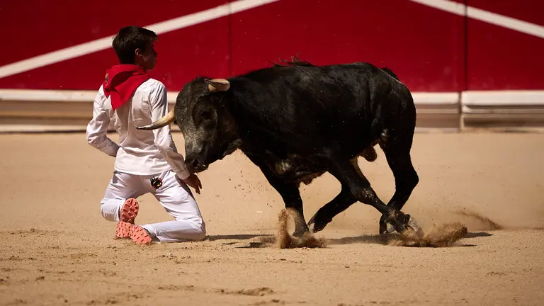 Cientos de personas acuden a la Plaza de Toros de Pamplona para disfrutar del espaectáculo "toros en familia". PABLO LASAOSA