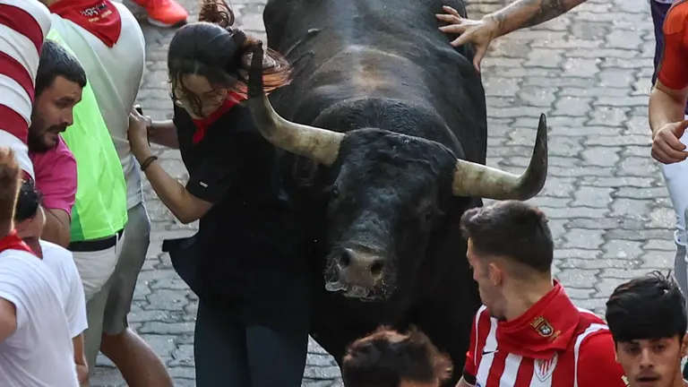 Los legendarios toros de la ganadería Eduardo Miura en el tramo final que desemboca en el callejón de la Plaza de Toros de Pamplona este viernes, durante el octavo y último encierro de sanfermines. J.P. Urdiroz/EFE