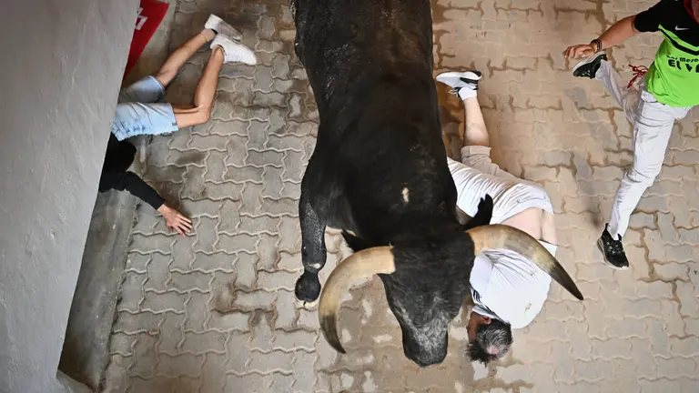 Último encierro de San Fermín 2023 con toros de Miura en el callejón. PABLO LASAOSA