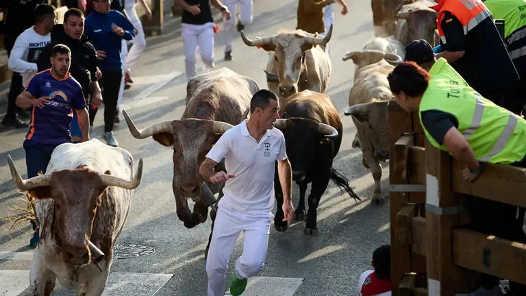 Primero encierro de las fiestas de Tudela 2023 con novillos de Prieto de la Cal. PABLO LASAOSA
