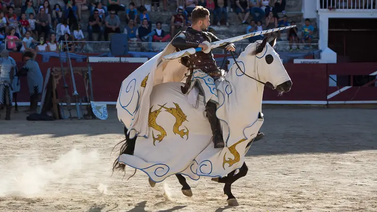 Semana Medieval de Estella. ASOCIACIÓN DE COMERCIANTES DE ESTELLA