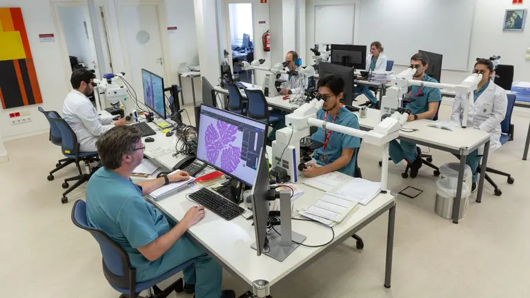 Imagen de los investigadores trabajando. CLÍNICA UNIVERSIDAD DE NAVARRA