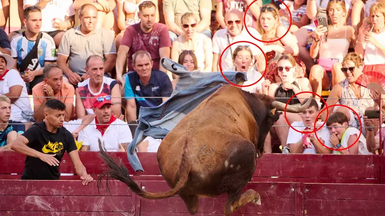 Tarde de vacas de la ganadería de Arriazu en fiestas de Arguedas 2023. PABLO LASAOSA