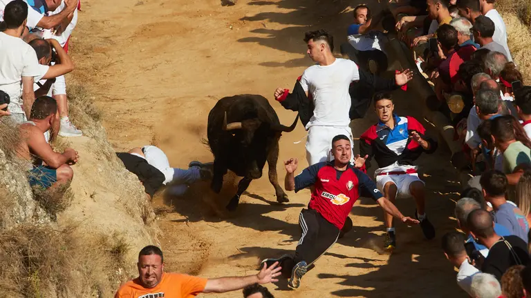 Tercer encierro del Pilón de Falces 2023. IÑIGO ALZUGARAY