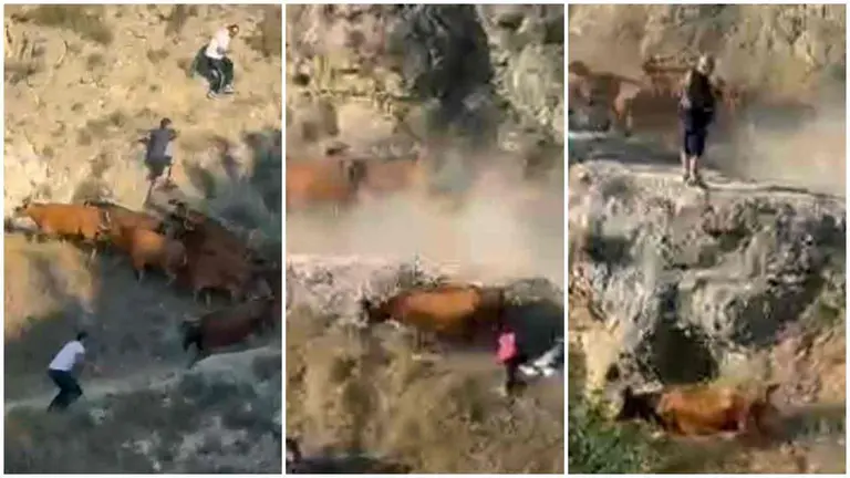 Secuencia del salto de la vaca de Hípica Zahorí por el terraplén en el 5º Encierro de El Pilón de Falces.