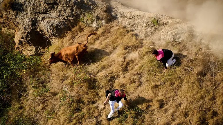Quinto encierro del Pilón de las fiestas de Falces 2023. PABLO LASAOSA