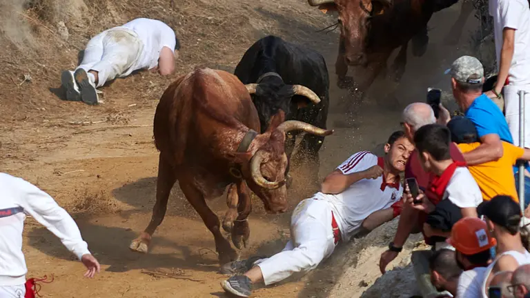 -	Sexto encierro del Pilón de Falces 2023. IRANZU LARRASOAÑA