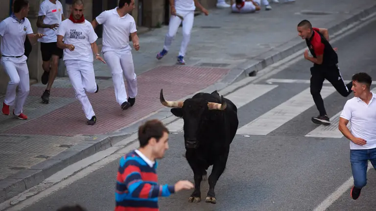 Quinto encierro de Tafalla. 19-08-2023 28
