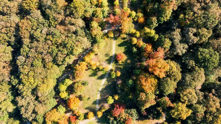 Bosque de Orgi. FRANCIS VAQUERO / TURISMO DE NAVARRA