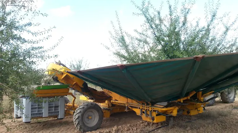 Recogida de endrinas en Navarra. CEDIDA