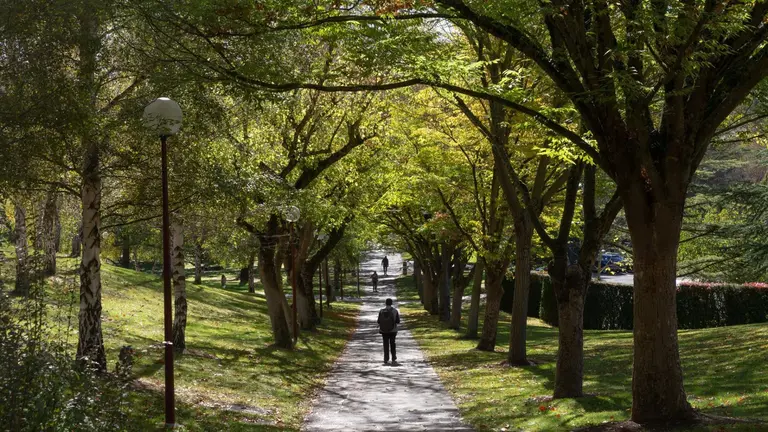 Campus de la Universidad de Navarra. MANUEL CASTELLS / ARCHIVO