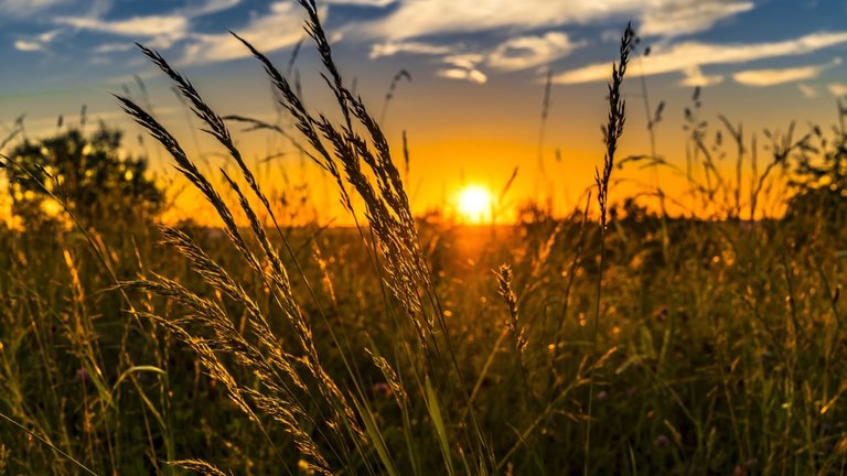 La primavera cambia invierno - cálido tiempo soleado - joven mujer