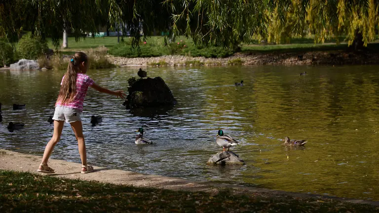 Una niña da de comer a los patos en el lago del Parque de Yamaguchi en Pamplona. IÑIGO ALZUGARAY