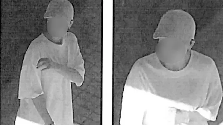 Imagen de uno de los ladrones captado por una cámara de seguridad. POLICÍA NACIONAL