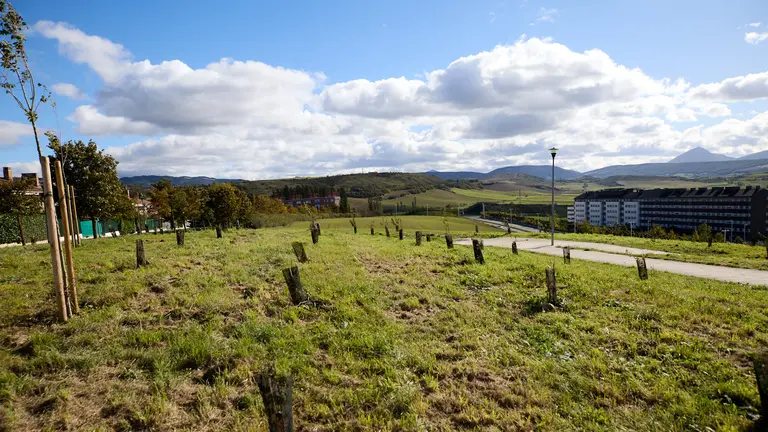 La alcaldesa de Pamplona, Cristina Ibarrola, junto con miembros de la Corporación municipal, inauguran el 'Bosque Olímpico' en Mendillorri, una acción de compensación de huella de carbono. Al acto ha asistido Alejandro Blanco, presidente del Comité Olímpico Español (COE) y deportistas olímpicos navarros como Nerea Pena, Izaskun Osés, Carmen Rubio, Mari Lacruz, Miguel Induráin, Juan Peralta o Jon Moncayola. IÑIGO ALZUGARAY