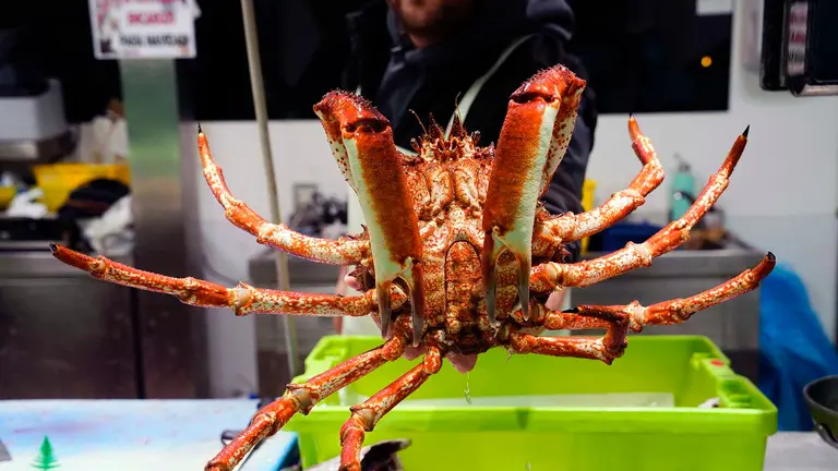 Marisco en el Mercado de El Fontán de Oviedo este jueves. Los precios bajaron el pasado mes de noviembre en todas las comunidades autónomas, sobre todo en Baleares (-0,7 %), Andalucía (-0,5 %) y Extremadura (-0,5 %), según los datos publicados este jueves por el INE. Por encima de la media nacional el IPC se redujo también en Asturias (-0,4 %), Cataluña (-0,4 %), Murcia (-0,4 %) y el País Vasco (-0,4 %) y disminuyó igual que la media (-0,3 %) en Castilla-La Mancha, Castilla y León, la Comunidad Valenciana, Madrid y Navarra. EFE/Paco Paredes