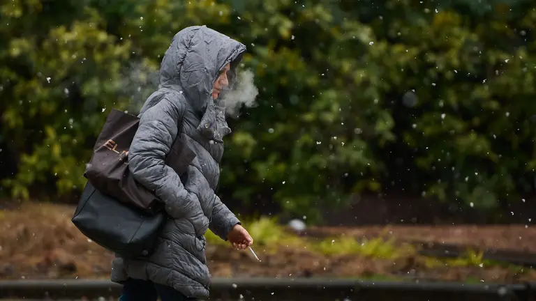 Frío y copos de nieve sobre Pamplona. PABLO LASAOSA