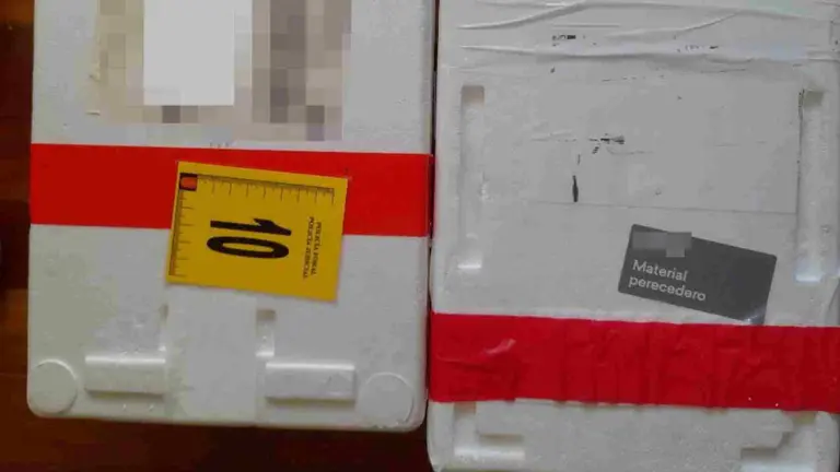 Cajas de pescado intervenidas. POLICÍA FORAL