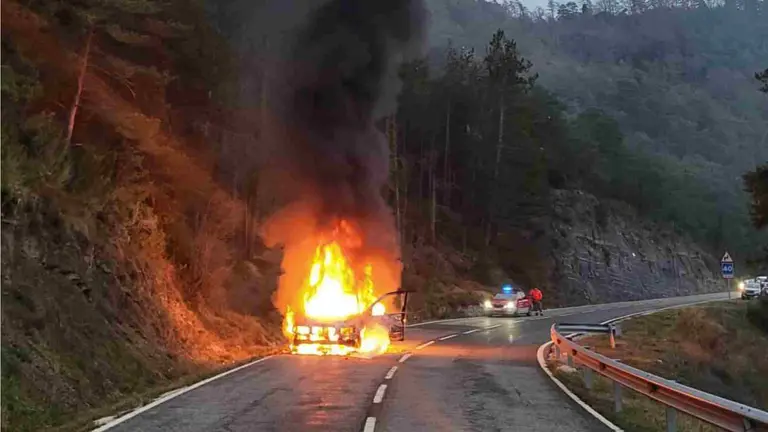 El coche quedó carbonizado en cuestión de minutos. POLICÍA FORAL