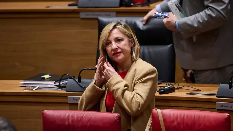 Amparo López, consejera de Interior, minutos antes de comenzar el pleno. PABLO LASAOSA